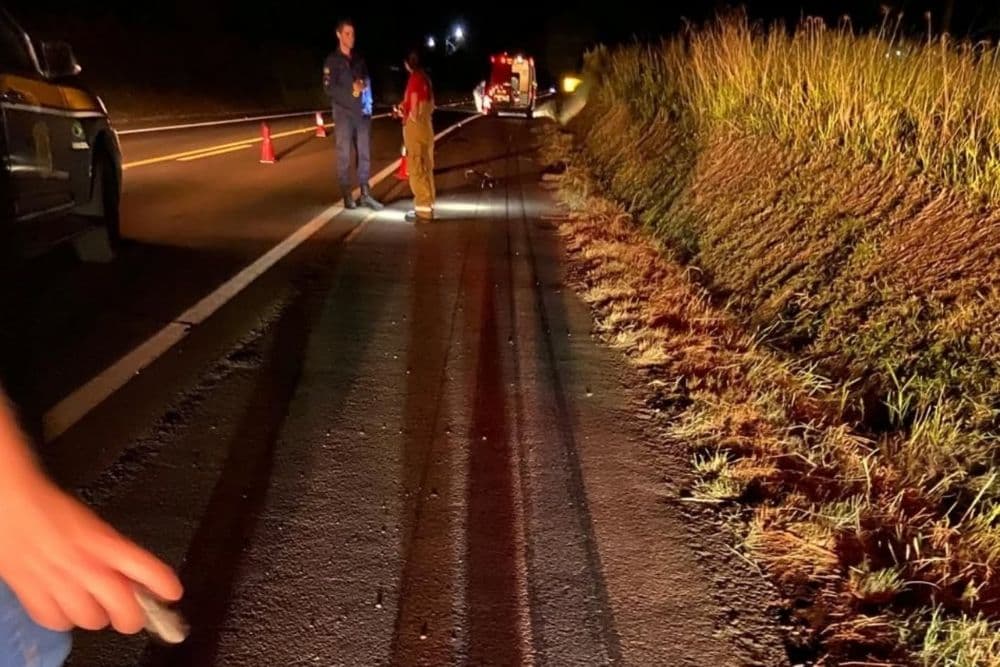 Identificado adolescente de 12 anos que morreu atropelado na BR-468, em Palmeira das Missões