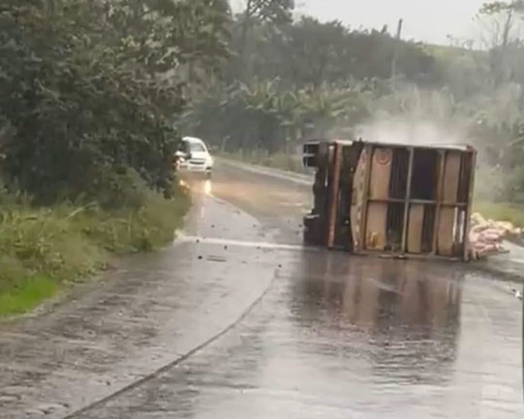 Caminhão com Suínos Tomba Na RSC-472 em Três Passos