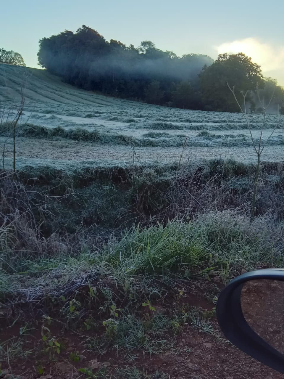 Geada cobre áreas do interior de Santo Augusto durante amanhecer gelado desta terça-feira