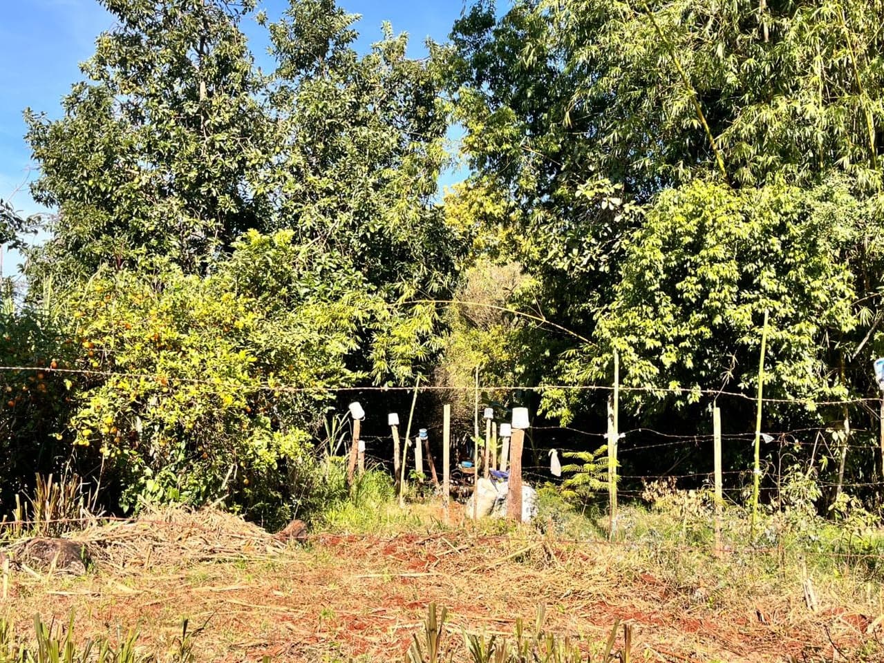 Mulher é encontrada morta no Bairro Petrópolis, em Santo Augusto