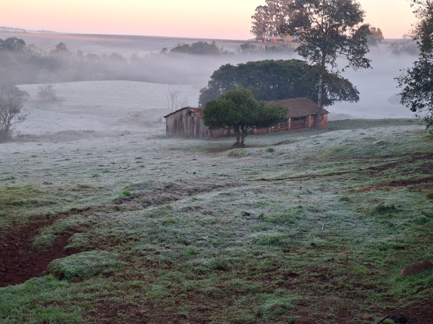 Santo Augusto registra mínima de 2,1°C e amanhece coberto por geada nesta terça-feira