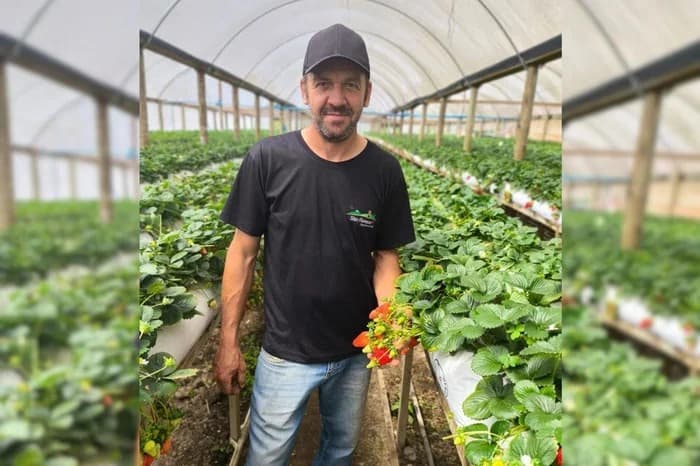 Polícia Civil precisará de mais tempo para concluir inquérito da morte de agricultor em Pelotas