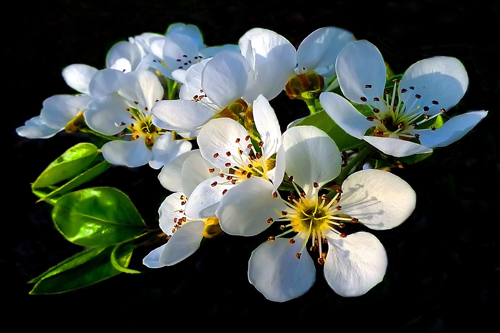CapaNoticia