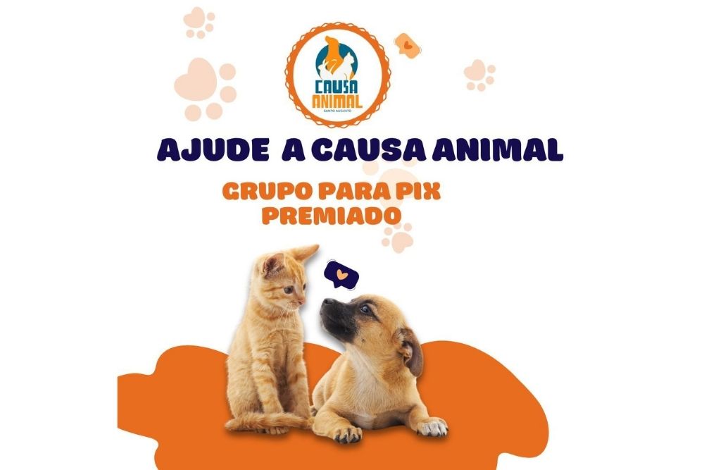 foto-noticia