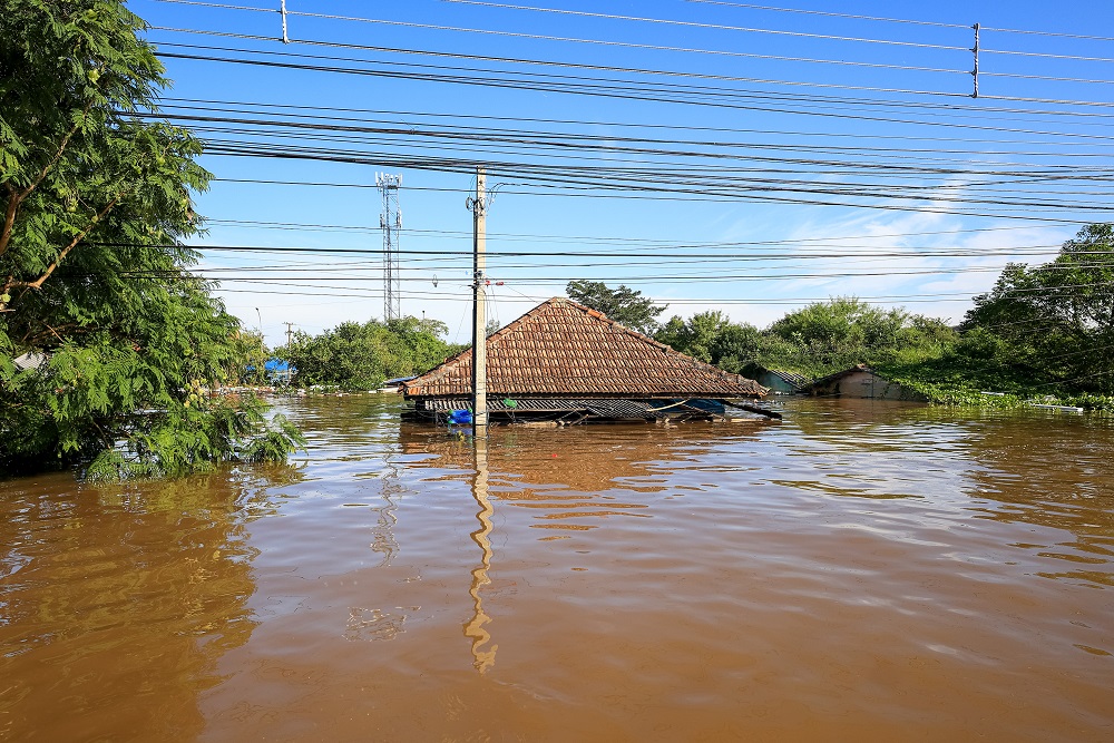 foto-noticia