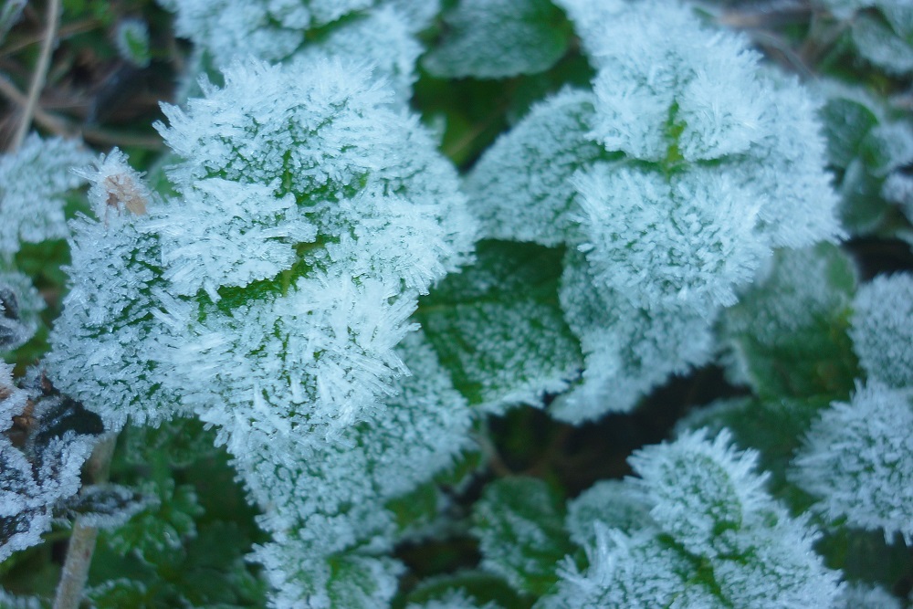 CapaNoticia
