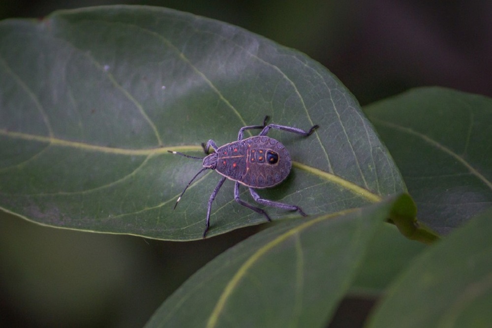 CapaNoticia