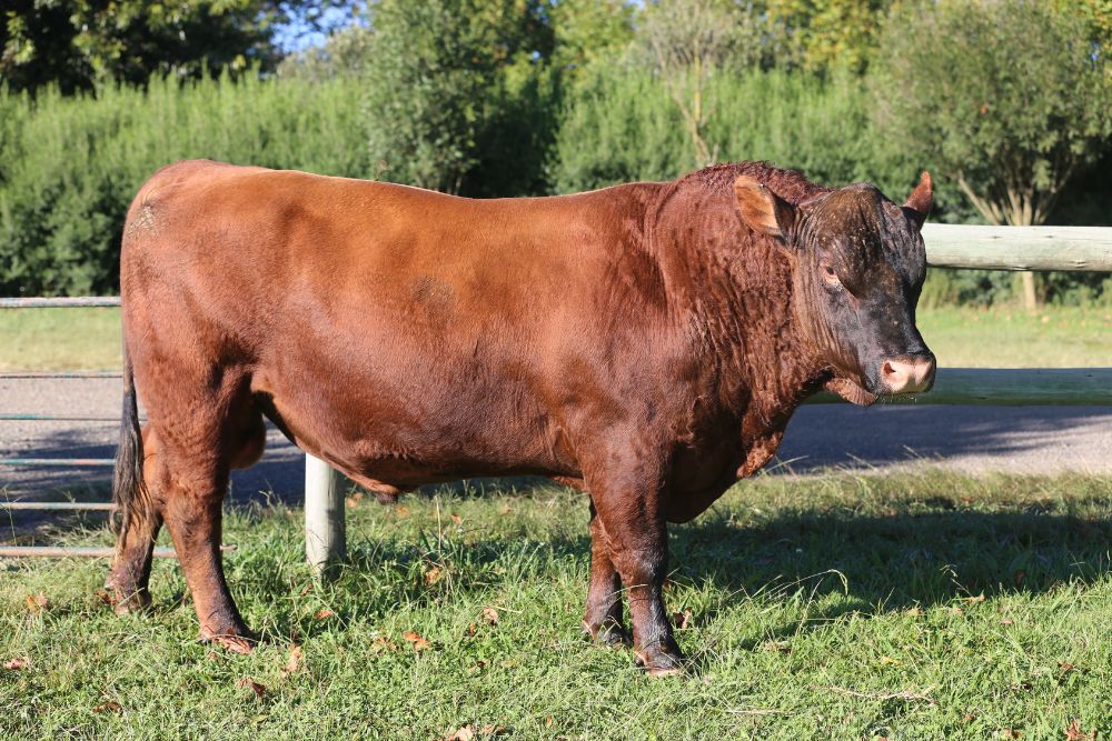 CapaNoticia