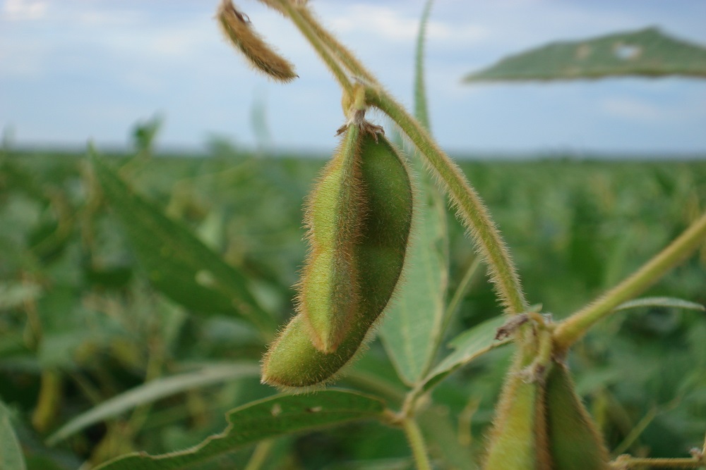 CapaNoticia